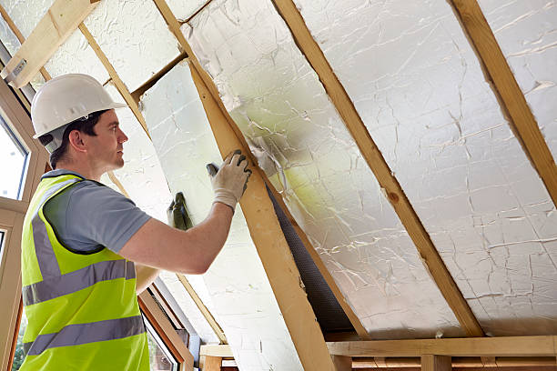 Best Geographic-Specific Insulation Services in Jenison, MI